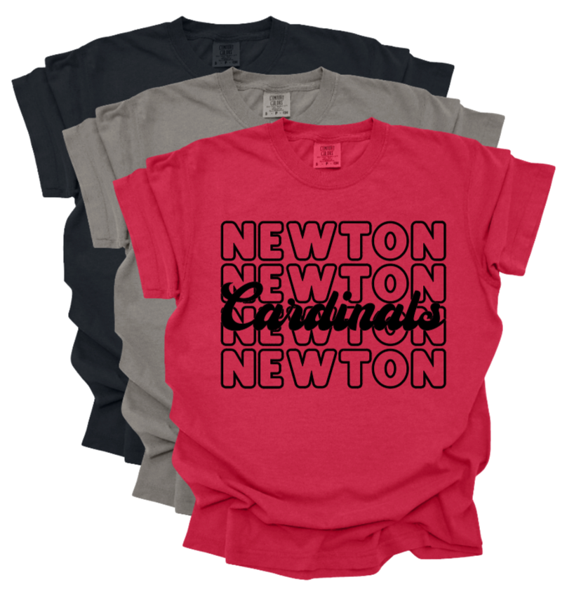 Cursive Cardinals Newton Background