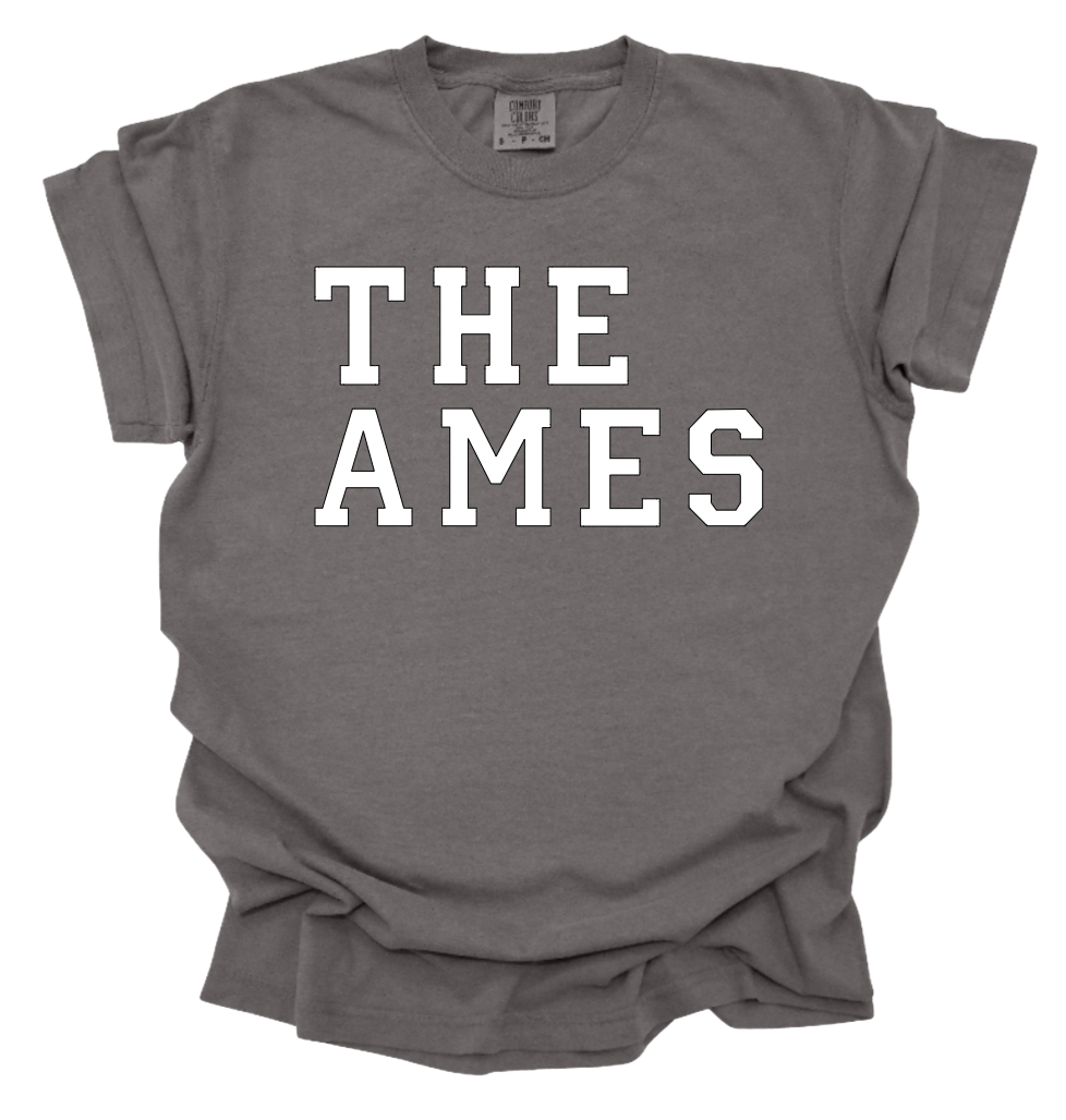 The Ames - Gray shirt