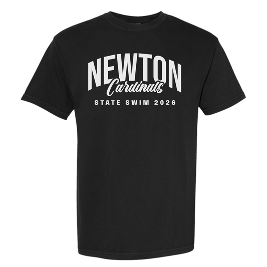Newton Swimming State Shirts