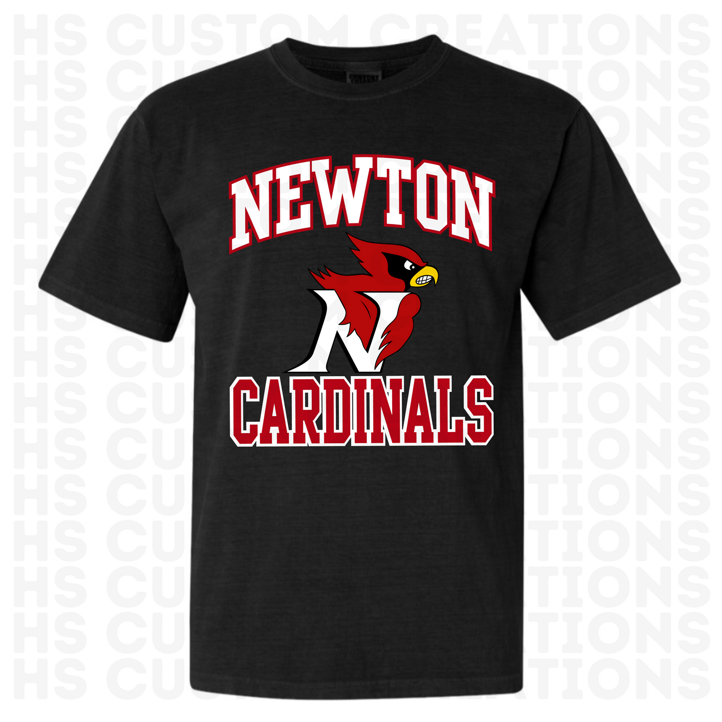 Big Newton Cardinals