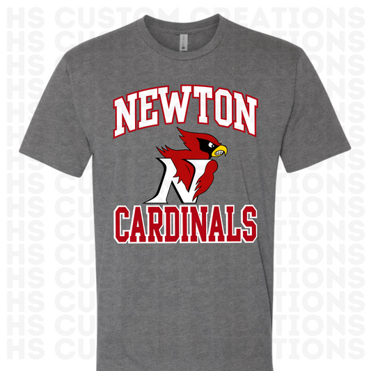 Big Newton Cardinals