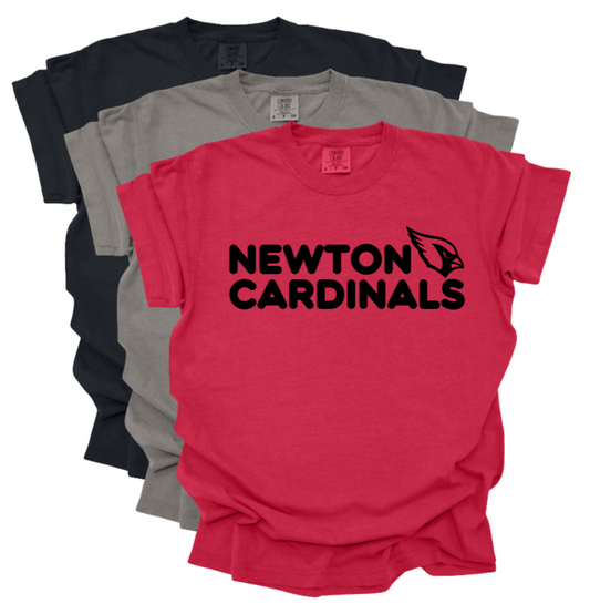 Newton Cardinals