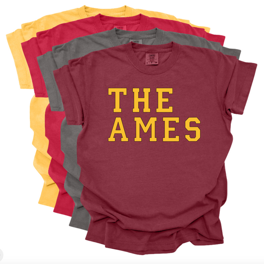 The Ames - Brick