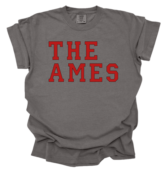 The Ames - Gray shirt